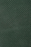 Velours unis vert<br><strong><div class="pageHeading">665.10�</div></strong>