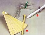 Spatules D'ayres et anuscope