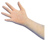 gant m�dical Sterixam latex (st�rile)