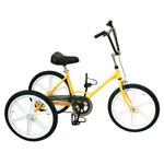 Tricycle Tonicross Basic pour enfant handicap�