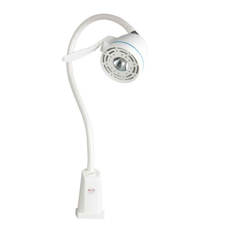 Lampe Halogène Tina Télescopique 20 W 650 mm