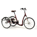 Tricycle Adulte 2219 Lagoon