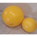 Lot de 2 ballons de gym - matriel d'exposition