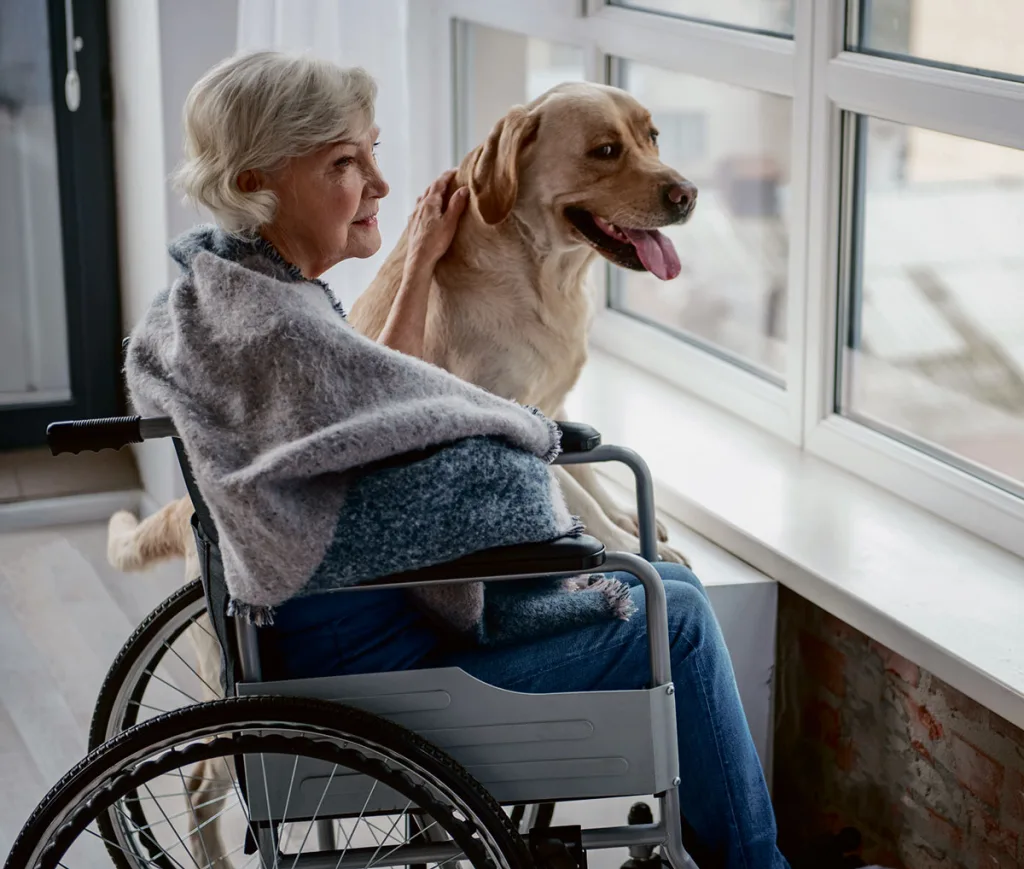 Chien et personne agée en fauteuil

zoothérapie bienfaits