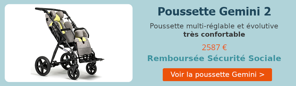 sld-poussette-gemini-1225