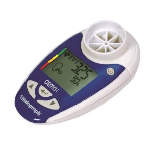 Débimètre électronique ASMA 1