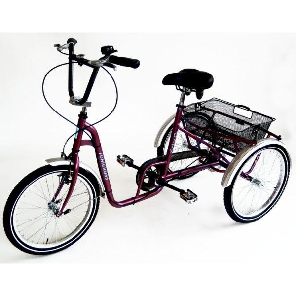 Tricycle Tonicross City pour personnes handicapées – Image 2