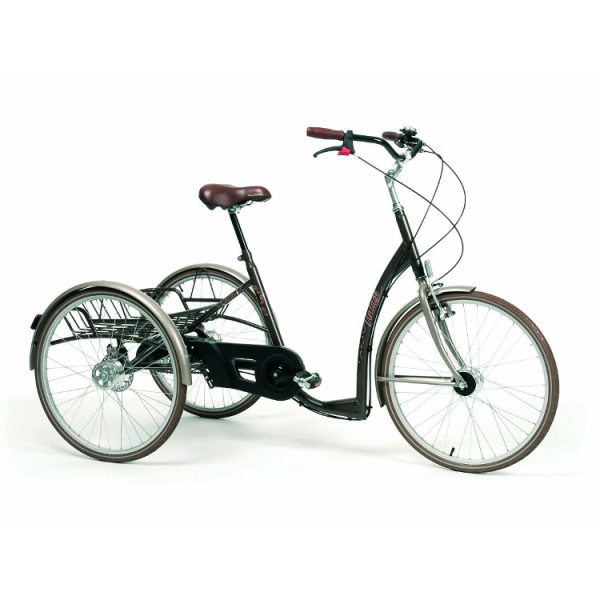 Tricycle Adulte 2219 à assistance électrique – Image 2