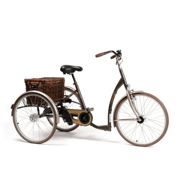 Tricycle Adulte 2219 Vintage – Image 2