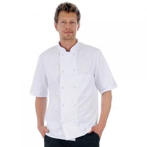 Veste cuisinier Homme, manches courtes, VCMCPC