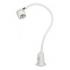 Lampe d'examen halogne 20W Tina LID