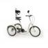 Tricycle 2217 Freedom  assistance lectrique