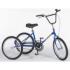 Tricycle Tonicross Basic pour enfant handicap