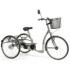 Tricycle Adulte 2219 Lagoon