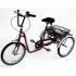 Tricycle Tonicross City pour personnes handicapées