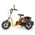 Tricycle Safari pour enfant handicap